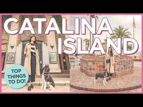 卡塔利娜島上必做的8件事！ (8 Things To Do For a Leisurely Weekend On Catalina Island)