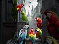 ‘Parrot fever’ outbreak in Europe has led to deaths of five people #ParrotFever #Europe #Deaths