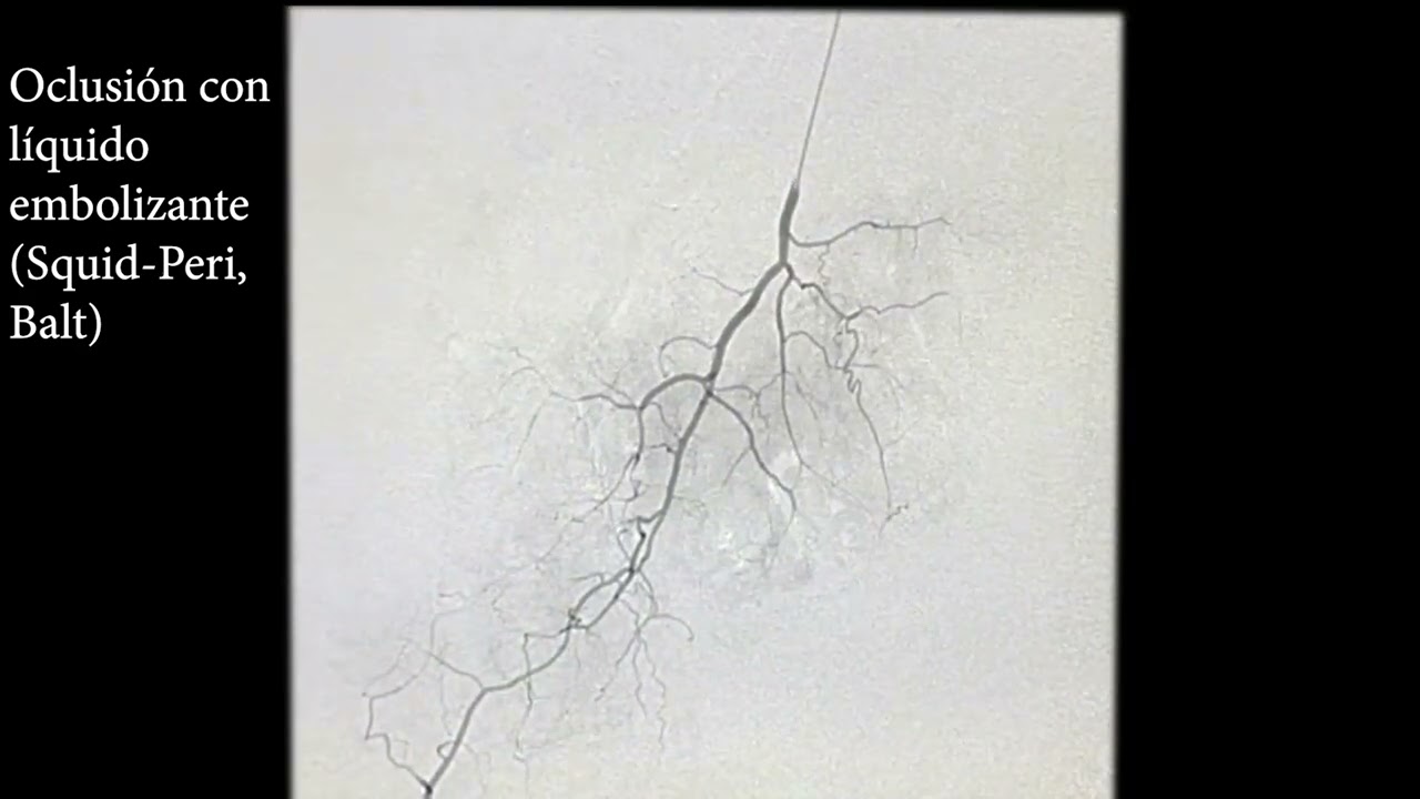 Maria Luisa Robles Martín-4