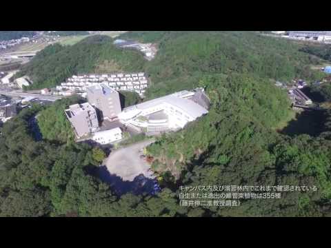 心理学科 環境科学科の学びのフィールド