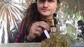 🚙 🍃 📦 Zen Leaf Cannabis Delivery Review 📦 🍃 🚙