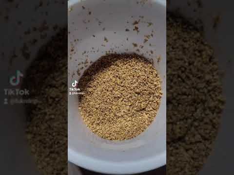 Corn Mash Moonshine on Vevor Still