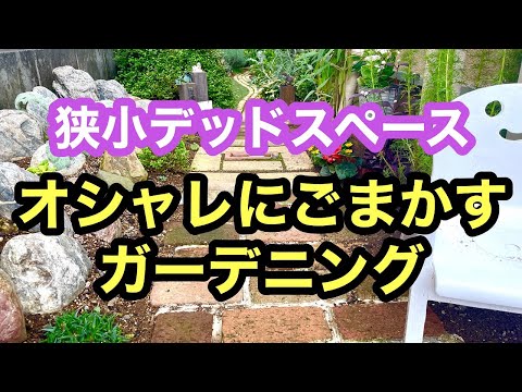 ブルージェイズガーデンを誘致する方法 どこに眠る食べ物