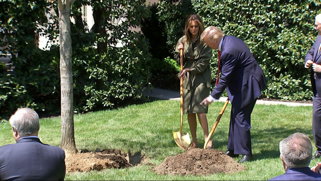 La Casa Blanca pasa de levantar alarmas a reabrir el país