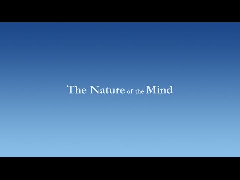 The Nature of the Mind