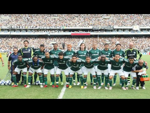 Palmeiras no Brasileiro 2009