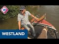 Westland: een combinatie van kassen en vaarwegen - OMROEP WEST