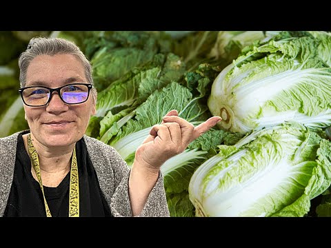 Starting Chinese Cabbage Seeds for Fall Garden