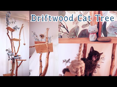 Making Driftwood Cat Tree for Kitten // Full Video // Instructional ASMR Music Video