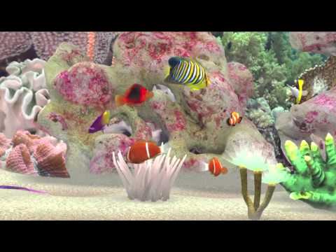MyReef 3D Aquarium Video