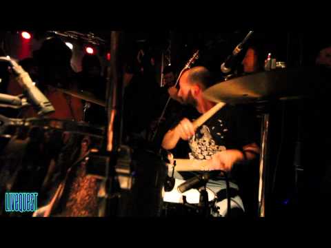 CARUSELLA-star quality (LIVEQUEST #35)