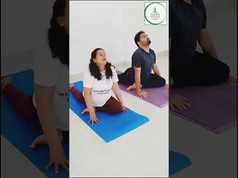 YogaForLife Practice Highlights