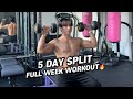 5 Day Split Workout Program Full Week Muscle Building Routine 5daysplit Workout Gymtips