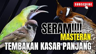 Download lagu MASTERAN BURUNG JUWARA!!!  CUNGKOK - KINOI - JINGJING - KHASSS MENJERIT LAYAKNYA MESIN JAHIT mp3