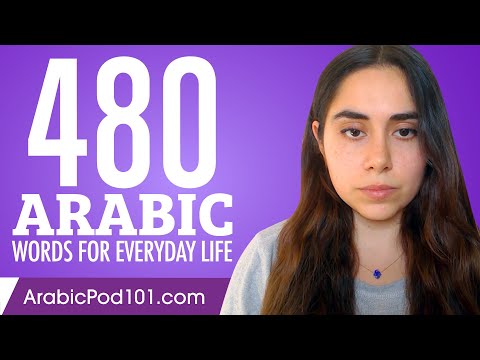480 Arabic Words for Everyday Life - Basic Vocabulary #24