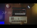 Jup-8 V - V Collection | ARTURIA