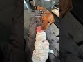 It’s just a little lick, no big deal! #dogs #retriever #baby #family #babysis #schittscreek #ew