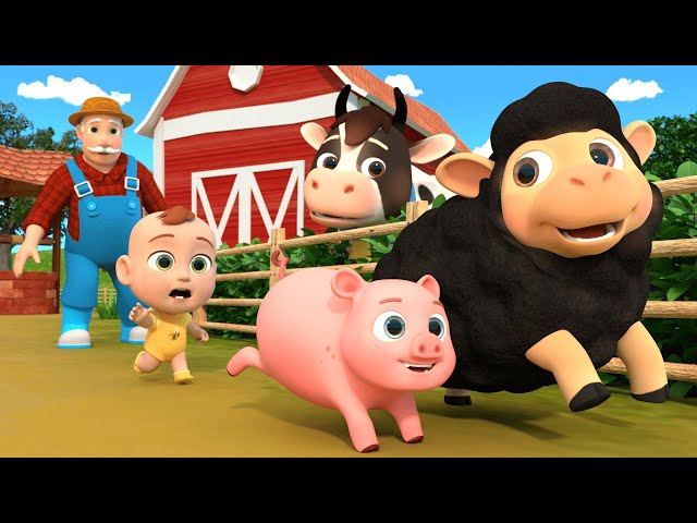 Old Macdonald Had A Farm + More Animal Time Baby Songs by Lalafun Nursery Rhymes SDDEFAULT Thumbnail
