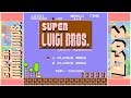 Super Luigi Bros Super Mario Bros Hack