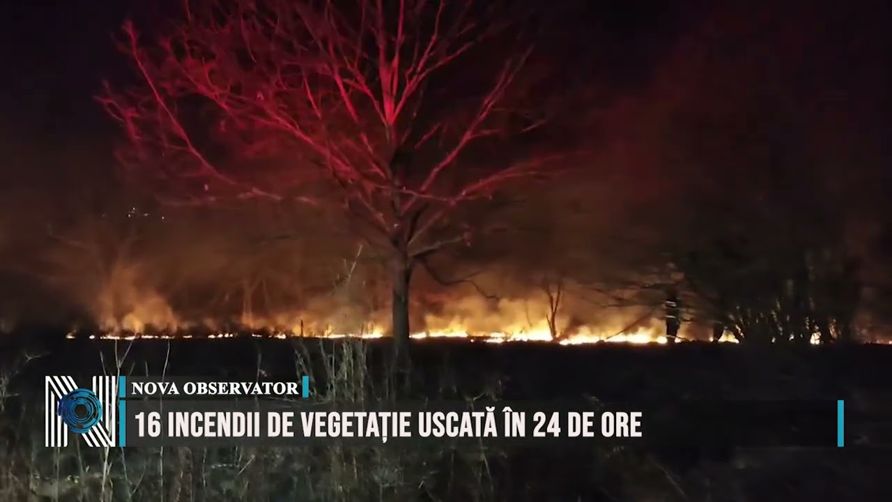 16 incendii de vegetație uscată în 24 de ore