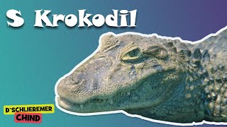 Schlieremer Chind - S'Krokodil | Mir gönd in Zoo