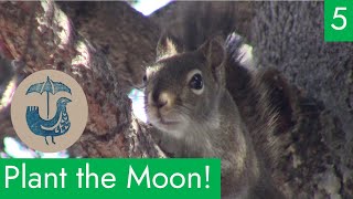 Plant the Moon with Team Rainbird! EP 5