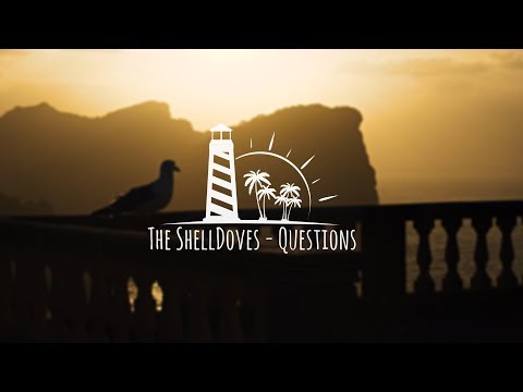 The ShellDoves: Questions |OFFICIAL VIDEO|