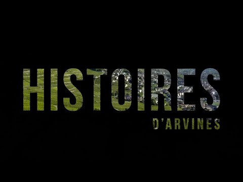 Gaétan Bender : Les vendanges