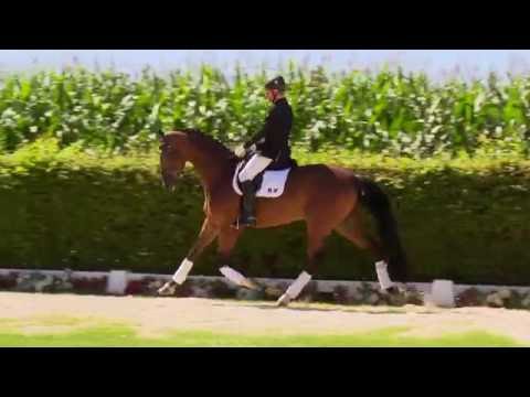 01 Bien Venido  Wallach v. Bordeaux - Spielberg