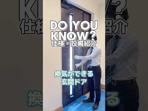 porte-entrée-bois-mi-vitrée-parement-mural-intérieur-pierre-naturelle-beige