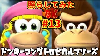 ドンキーコングトロピカルフリーズの世界を照らしてみた#13