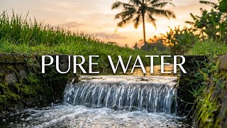 Download lagu ASMR Alam Murni: 21 Menit Suara Air Mengalir di Pedesaan Bali mp3
