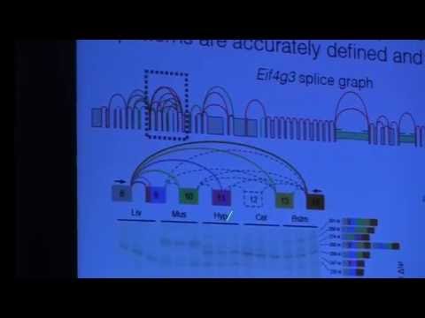 Matt Presenting MAJIQ - RNA Society 2016 Workshop, Kyoto, Japan