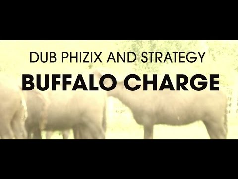 Dub Phizix and Strategy - Buffalo Charge