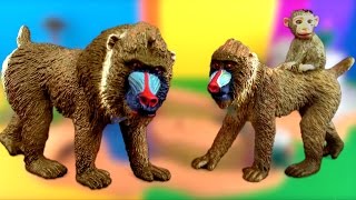 Happy Cute NEW ZOO Animals WILDLIFE Watering hole Playset Toy Review MANDRILLS SuperFunReviews