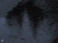 Adrianne Lenker - come