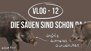 VLOG 12 - Stone &amp; Bohne auf Jagd - Neue Technik die begeistert, Sau liegt im Knall!
