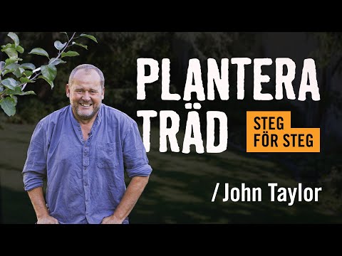 Plantera äppelträd /John Taylor | Tips & råd | Vi visar hur du gör [HORNBACH]