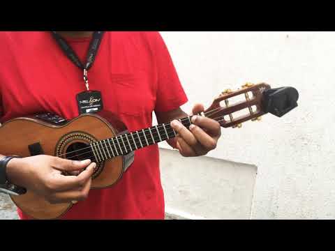 Eta Povo Pra Lutar - Zeca Pagodinho