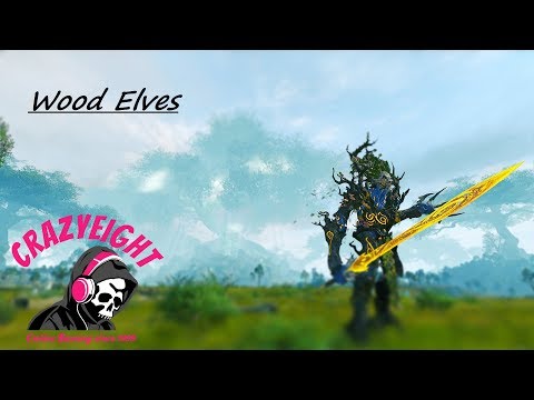 Total War: Warhammer 🍂 Close-Up Ranked Battle 🍂 Wood Elves vs. Vampire Count