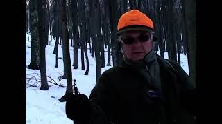 В снежната гора