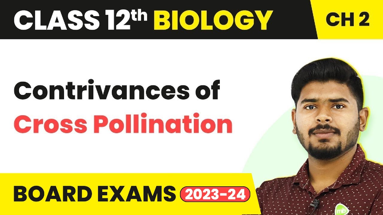 Contrivances of Cross Pollination | Class 12 Biology Chapter 2 NCERT/NEET (2022-23)