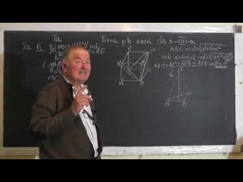 1/2 1430 Teste evaluare nationala: Cub Piramida Distanta de la un punct la un plan - Clasa 8