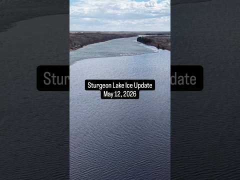 Sturgeon Lake Ice Update May 12, 2026