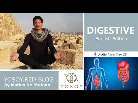 Day 295 - DIGESTIVE - Matías De Stefano - YOSOY.RED BLOG: Plexus-Physical-Taurus, Read by Carey 5/25