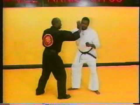 David James   Vee Arnis Jitsu Vol  1   Concepts Part 1