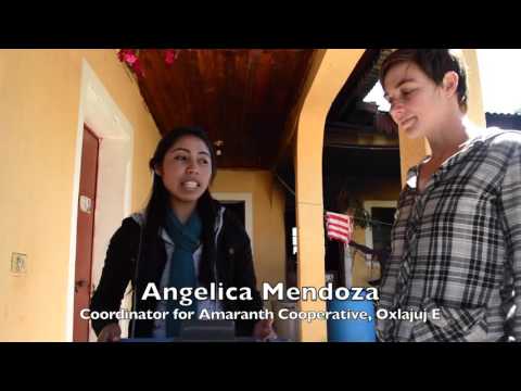 Empower Women to Feed their Families