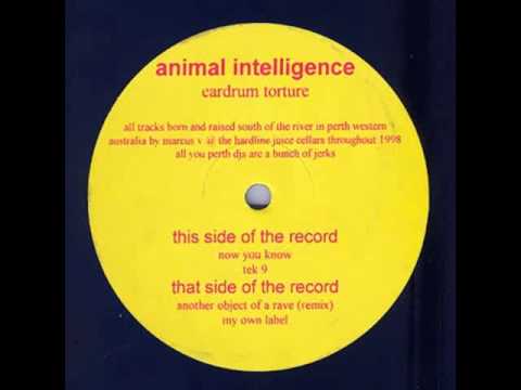 Animal Intelligence - Tek 9 [1999]