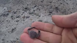 Beach Metal Detecting 1927 Class Ring
