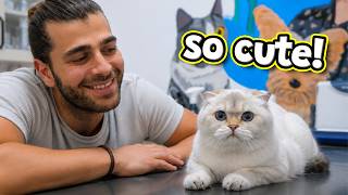 Nazik Kedi Öyle Yavaş Yiyor Ki! 😅 (Kedilere HAP Yutturmanın En Kolay Y